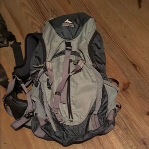 Gregory Gray Backpack for Men